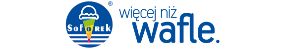 pod logo na strone format